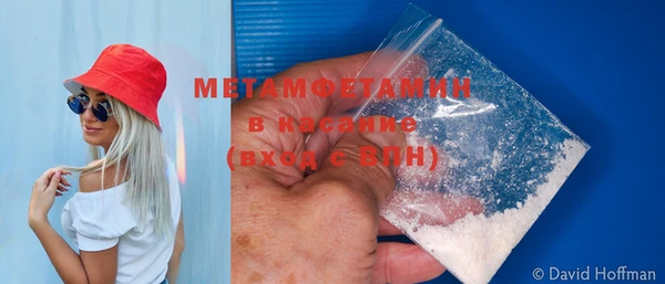 прущие грибы Зеленокумск