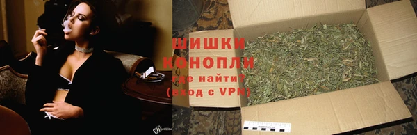 прущие грибы Зеленокумск