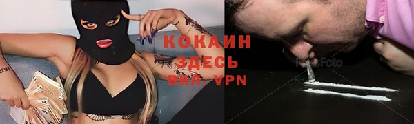 прущие грибы Зеленокумск