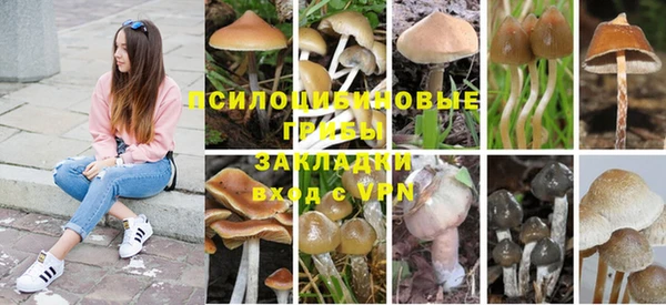 кристаллы Зерноград