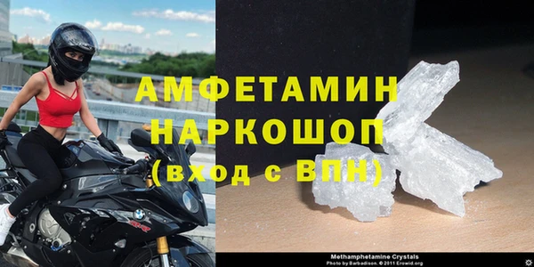 прущие грибы Зеленокумск